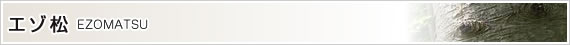 エゾ松-EZOMATSU-